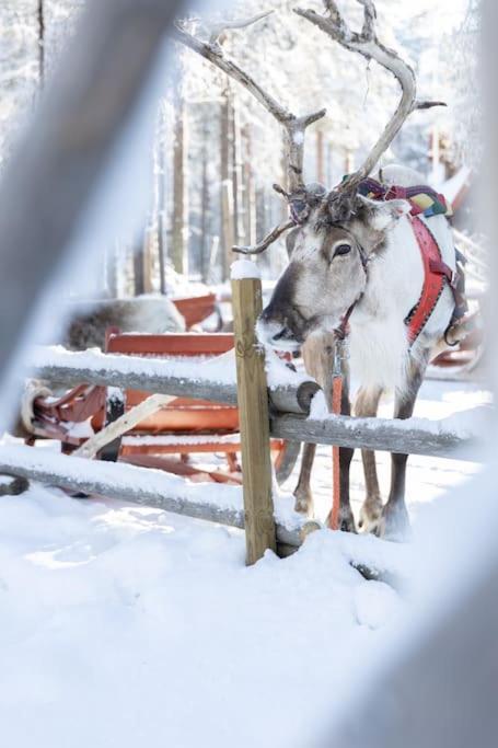 Arctic Circle Home Close To Santa'S Village Rovaniemi Exterior photo