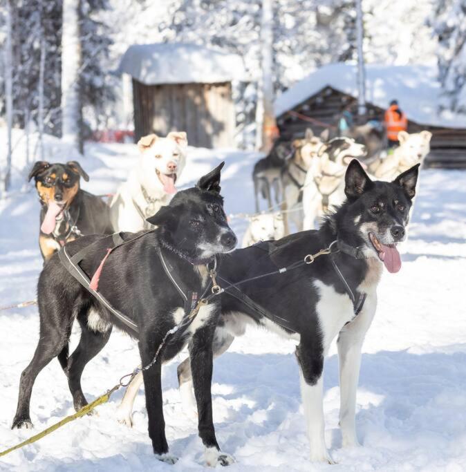 Arctic Circle Home Close To Santa'S Village Rovaniemi Exterior photo