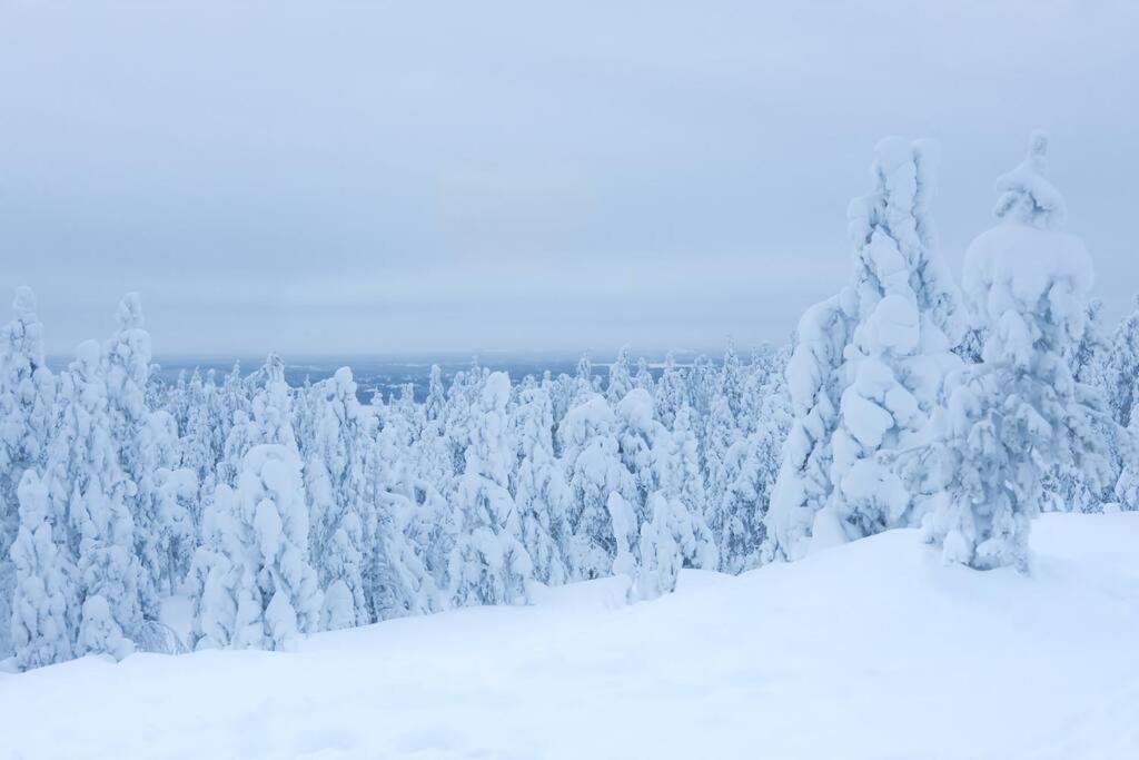 Arctic Circle Home Close To Santa'S Village Rovaniemi Exterior photo